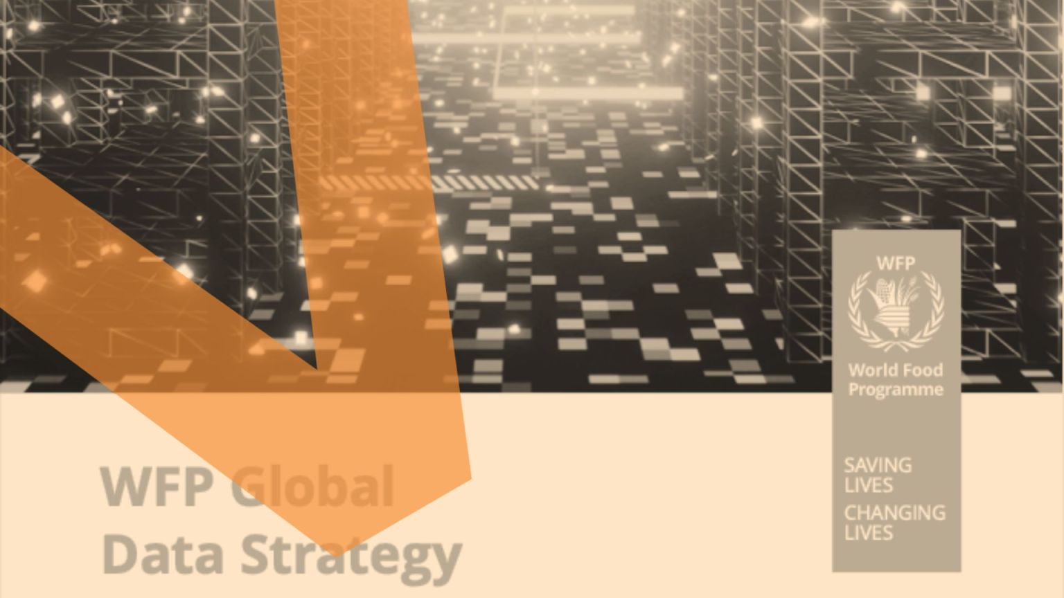 Undp Data Strategy Data | UN 2.0 | United Nations